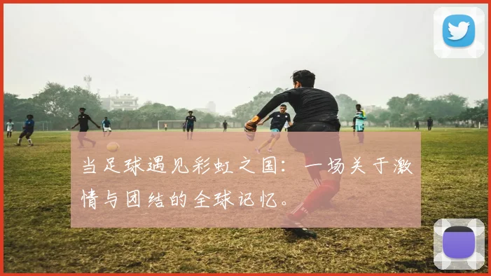 当足球遇见彩虹之国：一场关于激情与团结的全球记忆。